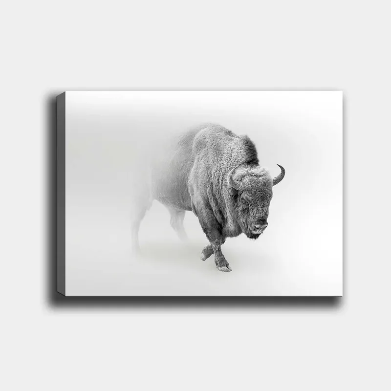 Canvas taulu 70x100 cm - Majesteettinen biisoni kävelee sumussa, Harmaa / Valkoinen