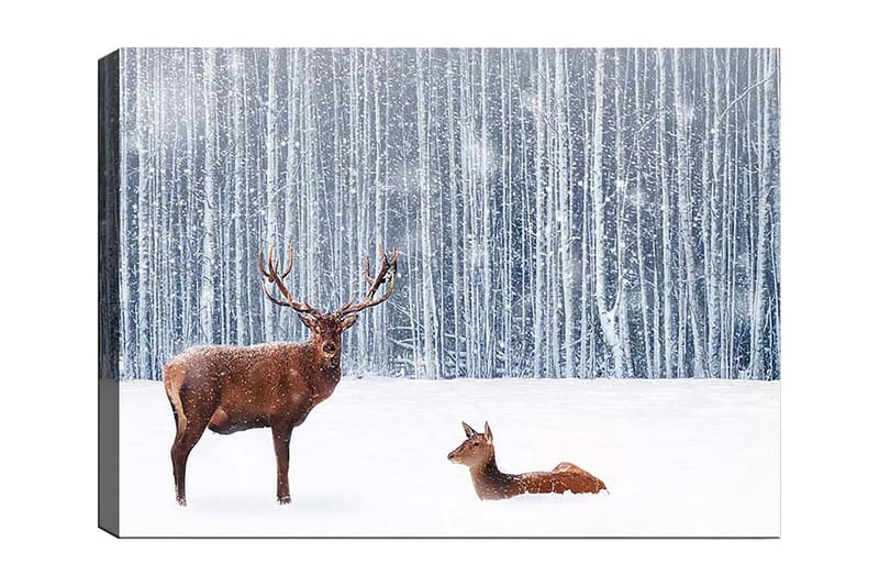 Canvas taulu 70x100 cm - Majesteettinen hirvi ja peura lumisessa metsäympäristössä, Ruskea / Valkoinen / Harmaa