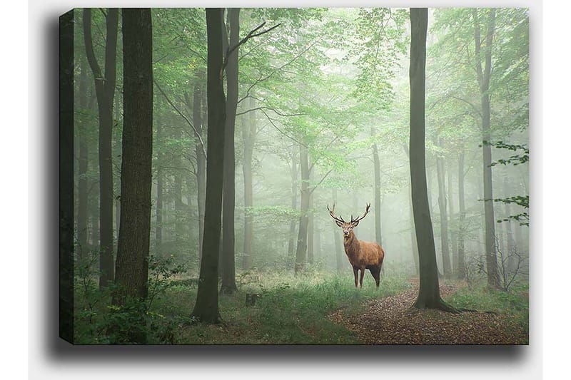 Canvas taulu 70x100 cm - Majesteettinen hirvi seisoo ylpeänä sumuisessa metsässä vihreiden puiden ympäröimänä - Vihreä / Ruskea / Harmaa - Sisustustuotteet - Taulu & taide - Canvas-taulu