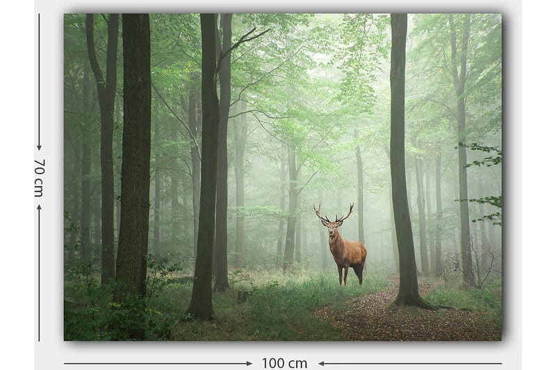 Canvas taulu 70x100 cm - Majesteettinen hirvi seisoo ylpeänä sumuisessa metsässä vihreiden puiden ympäröimänä - Vihreä / Ruskea / Harmaa - Sisustustuotteet - Taulu & taide - Canvas-taulu