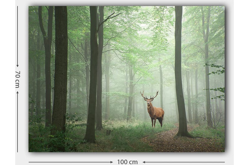 Canvas taulu 70x100 cm - Majesteettinen hirvi seisoo ylpeänä sumuisessa metsässä vihreiden puiden ympäröimänä - Vihreä / Ruskea / Harmaa - Sisustustuotteet - Taulu & taide - Canvas-taulu