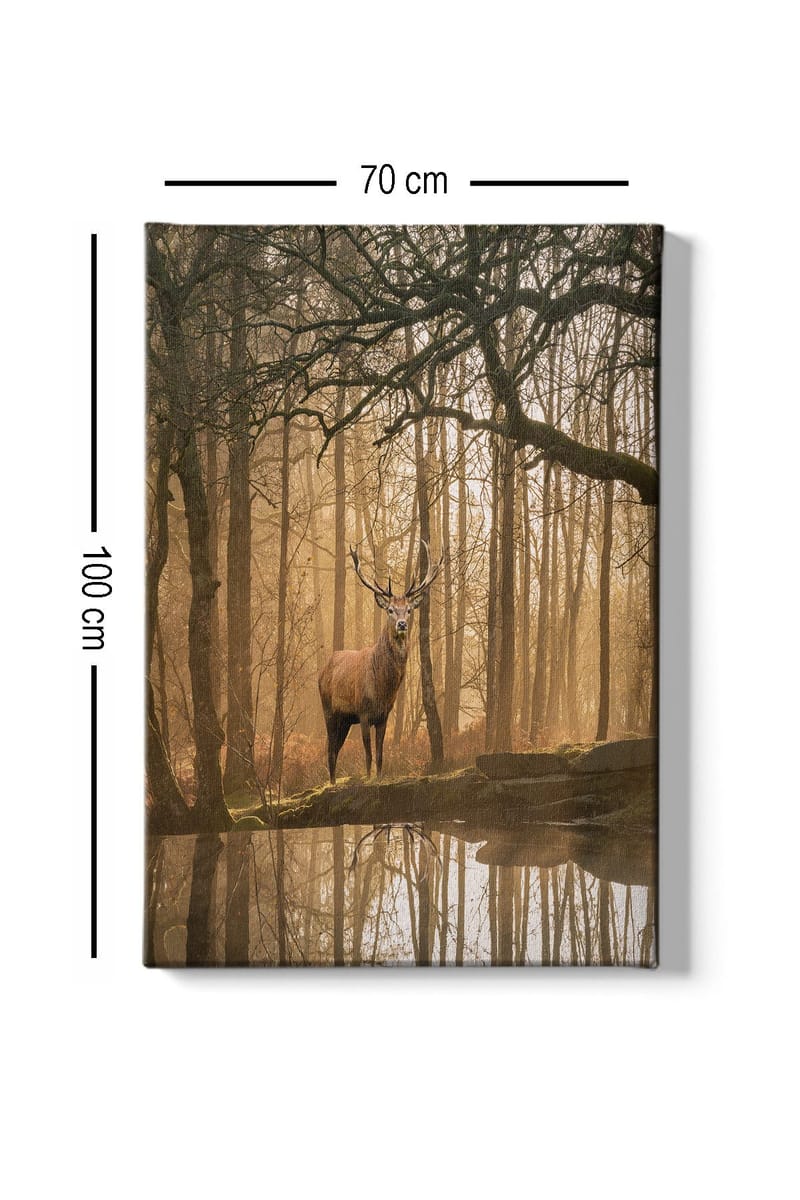 Canvas taulu 70x100 cm - Majesteettinen hirvi seisoo peilimäisen järven rannalla sumuisten metsien ympäröimänä - Ruskea / Kulta / Vihreä - Sisustustuotteet - Taulu & taide - Canvas-taulu