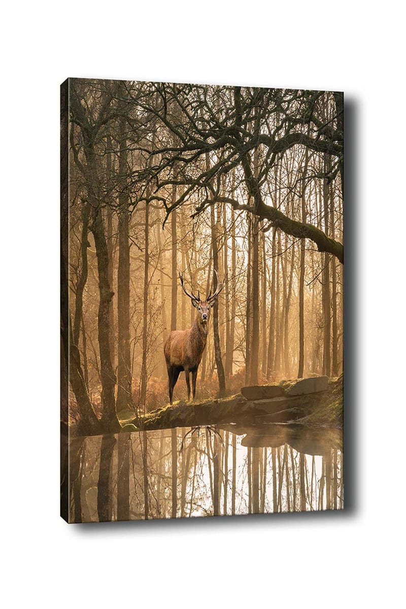 Canvas taulu 70x100 cm - Majesteettinen hirvi seisoo peilimäisen järven rannalla sumuisten metsien ympäröimänä, Ruskea / Kulta / Vihreä