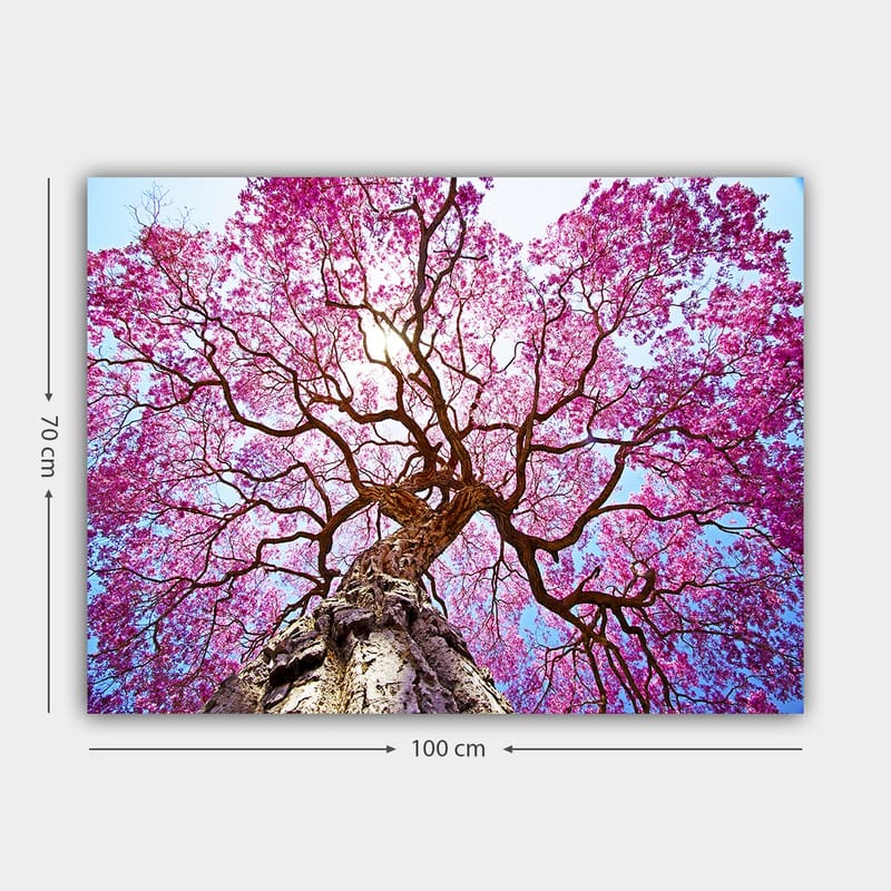 Canvas taulu 70x100 cm - Majesteettinen kirsikkapuu kukkivine vaaleanpunaisine kukineen kurottelee kohti kirkasta sinistä taivasta - Vaaleanpunainen / Ruskea / Sininen - Sisustustuotteet - Taulu & taide - Canvas-taulu