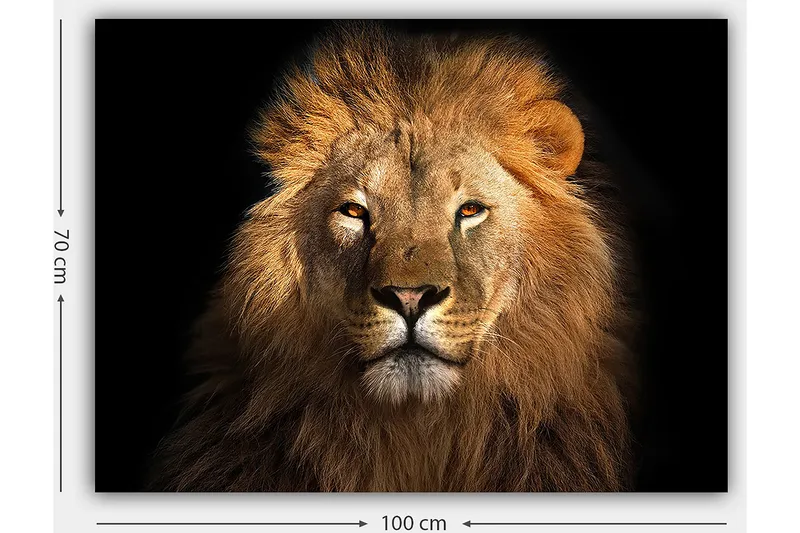 Canvas taulu 70x100 cm - Majesteettinen leijonanpää intensiivisellä katseella - Kulta / Ruskea / Musta - Sisustustuotteet - Taulu & taide - Canvas-taulu