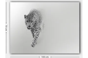 Canvas taulu 70x100 cm - Majesteettinen leopardi eteenpäin tyylikkäässä ja minimalistisessa sommitelmassa - Musta / Harmaa - Sisustustuotteet - Taulu & taide - Canvas-taulu
