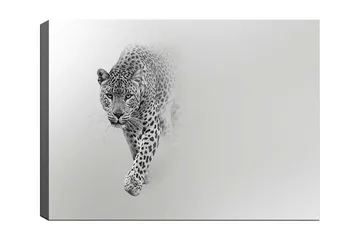 Canvas taulu 70x100 cm - Majesteettinen leopardi eteenpäin tyylikkäässä ja minimalistisessa sommitelmassa - Musta / Harmaa - Sisustustuotteet - Taulu & taide - Canvas-taulu