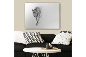 Canvas taulu 70x100 cm - Majesteettinen leopardi eteenpäin tyylikkäässä ja minimalistisessa sommitelmassa - Musta / Harmaa - Sisustustuotteet - Taulu & taide - Canvas-taulu