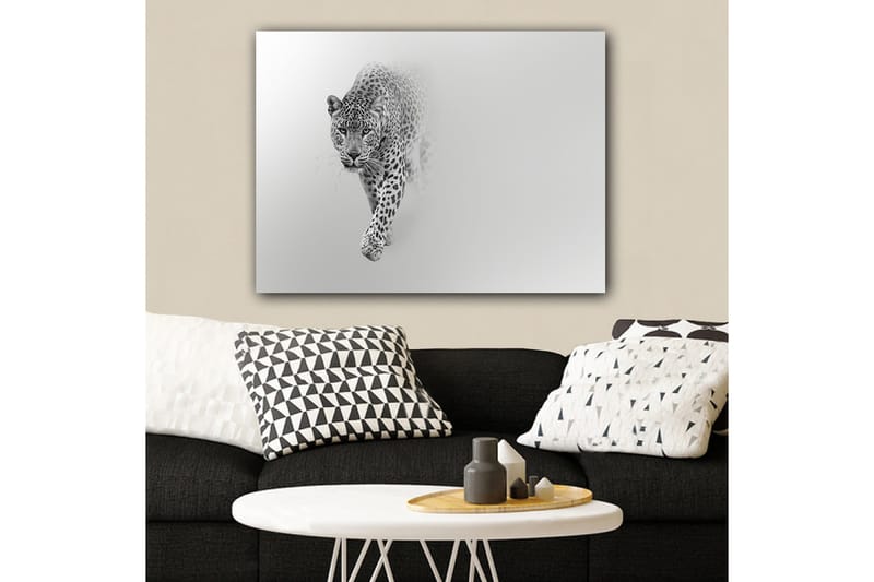 Canvas taulu 70x100 cm - Majesteettinen leopardi eteenpäin tyylikkäässä ja minimalistisessa sommitelmassa - Musta / Harmaa - Sisustustuotteet - Taulu & taide - Canvas-taulu