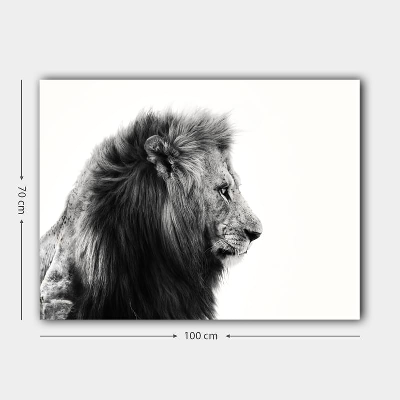 Canvas taulu 70x100 cm - Majesteettinen mustavalkoinen leijonan profiili, joka säteilee voimaa ja eleganssia - Musta / Valkoinen - Sisustustuotteet - Taulu & taide - Canvas-taulu