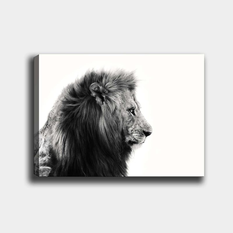 Canvas taulu 70x100 cm - Majesteettinen mustavalkoinen leijonan profiili, joka säteilee voimaa ja eleganssia - Musta / Valkoinen - Sisustustuotteet - Taulu & taide - Canvas-taulu