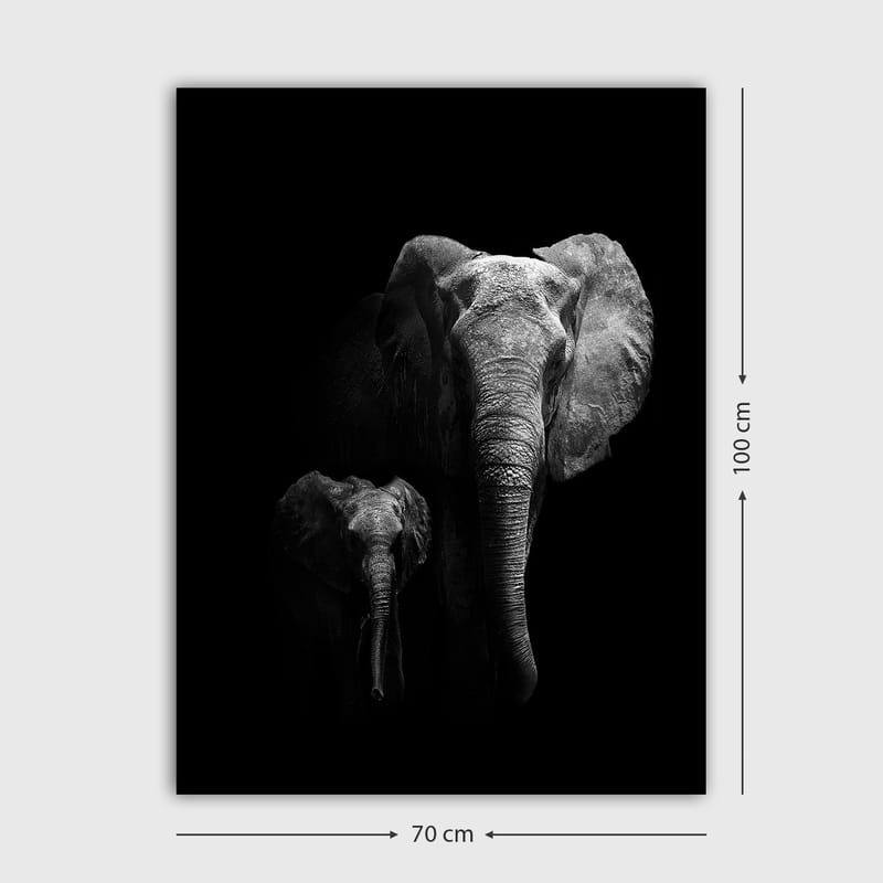 Canvas taulu 70x100 cm - Majesteettinen norsu ja vasikka korostavat heidän suhdettaan dramaattisessa mustavalkoisessa sommitelmassa - Musta / Harmaa - Sisustustuotteet - Taulu & taide - Canvas-taulu