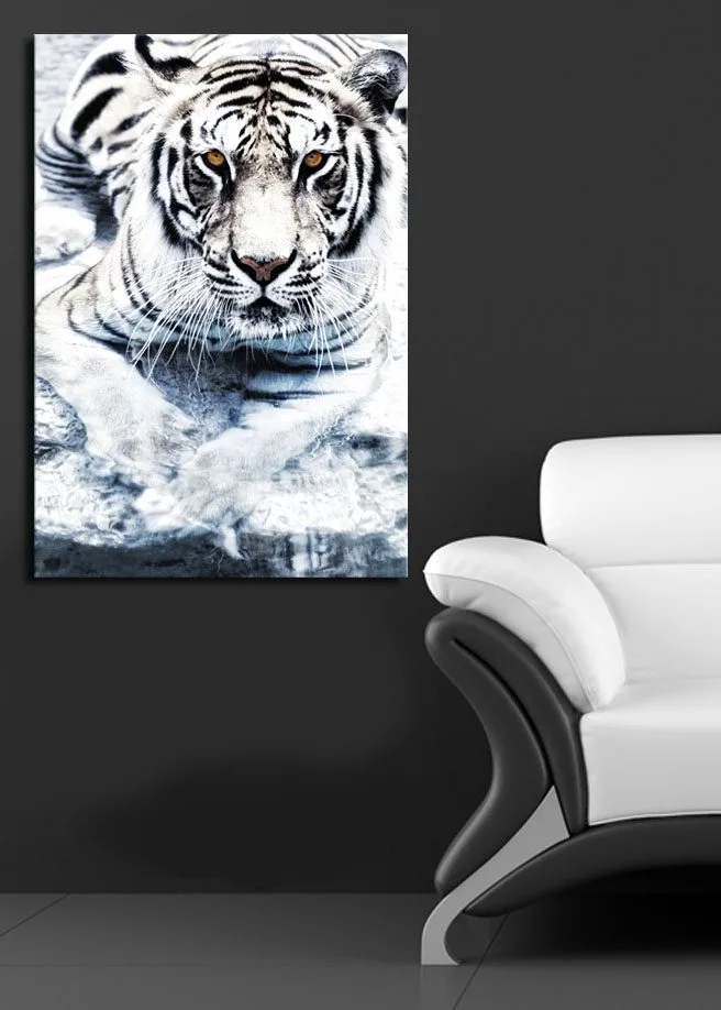 Canvas taulu 70x100 cm - Majesteettinen valkoinen tiikeri vedessä - Valkoinen / Musta / Harmaa - Sisustustuotteet - Taulu & taide - Canvas-taulu