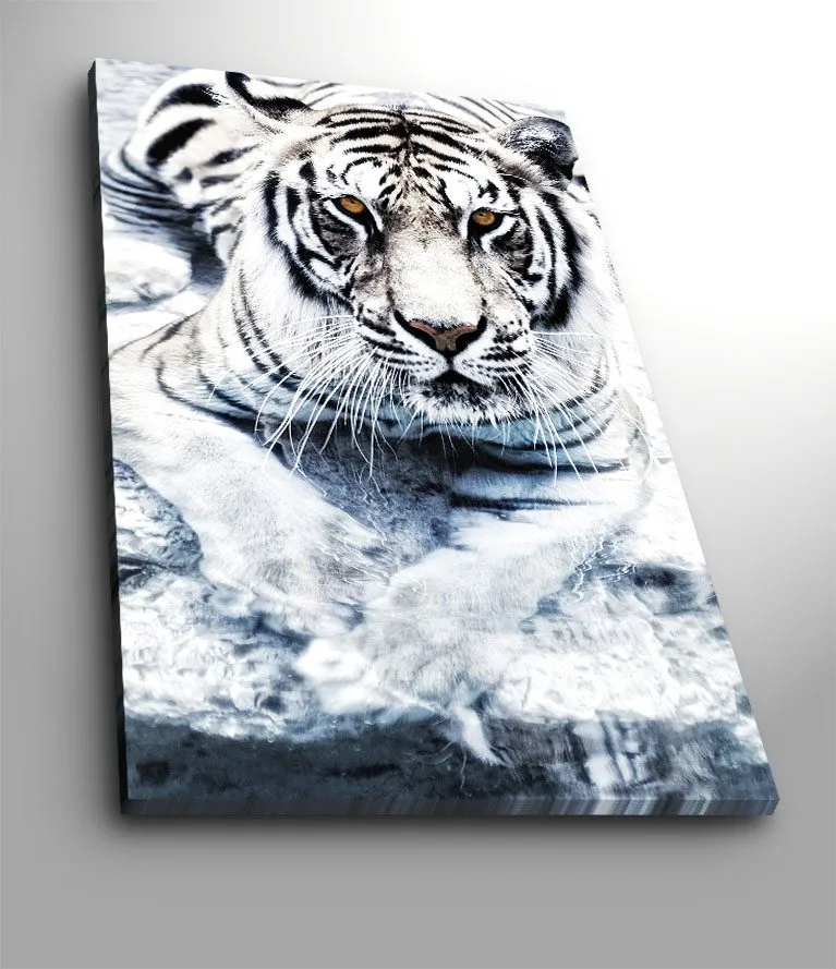 Canvas taulu 70x100 cm - Majesteettinen valkoinen tiikeri vedessä, Valkoinen / Musta / Harmaa