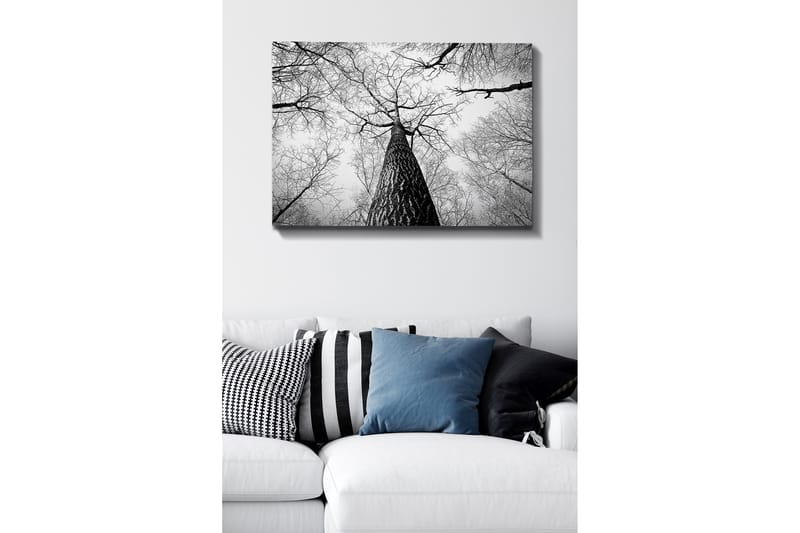 Canvas taulu 70x100 cm - Mustavalkoinen kuva puusta, joka kurottaa kohti kirkasta taivasta maasta katsottuna, Musta / Valkoinen / Harmaa