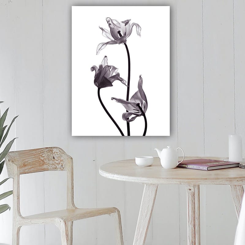 Canvas taulu 70x100 cm - Mustavalkoiset tulppaanit, joiden elegantit muodot kurottavat kohti yläosaa - Musta / Harmaa - Sisustustuotteet - Taulu & taide - Canvas-taulu