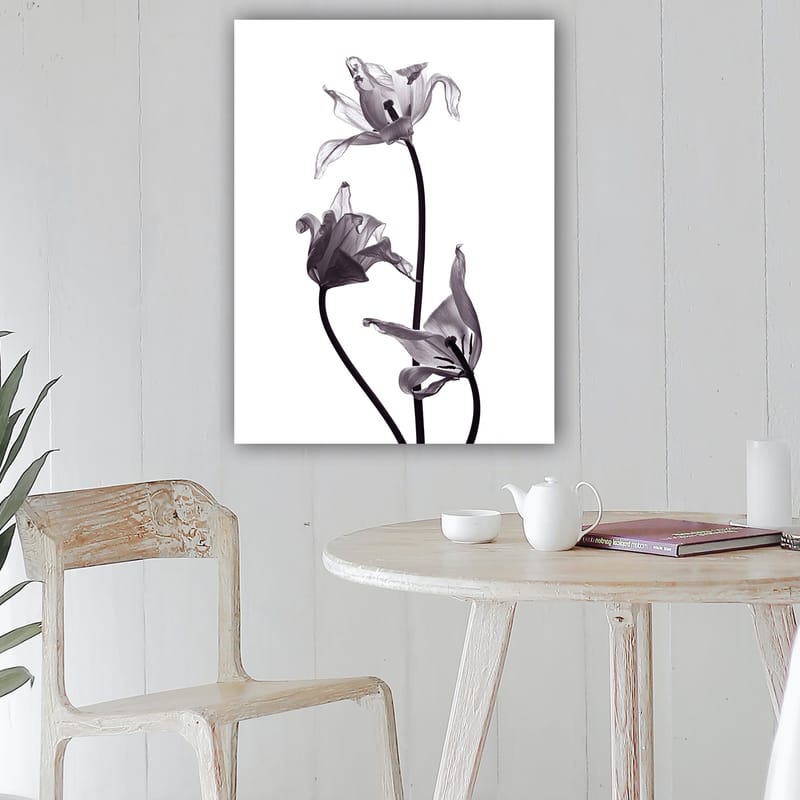 Canvas taulu 70x100 cm - Mustavalkoiset tulppaanit, joiden elegantit muodot kurottavat kohti yläosaa - Musta / Harmaa - Sisustustuotteet - Taulu & taide - Canvas-taulu