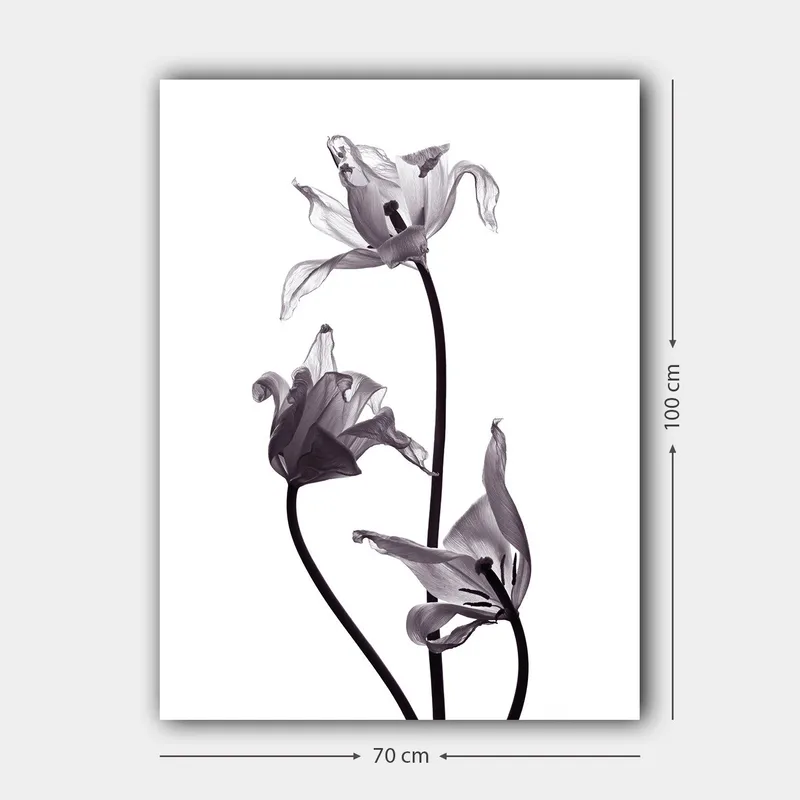 Canvas taulu 70x100 cm - Mustavalkoiset tulppaanit, joiden elegantit muodot kurottavat kohti yläosaa - Musta / Harmaa - Sisustustuotteet - Taulu & taide - Canvas-taulu