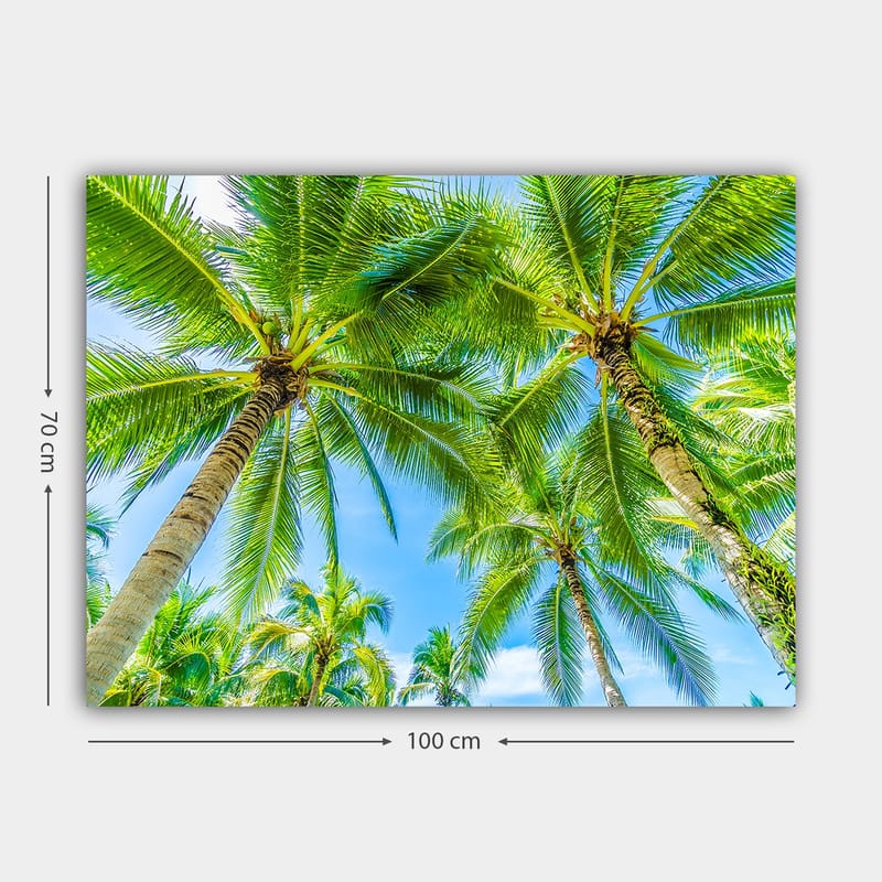 Canvas taulu 70x100 cm - Näkymä korkeista palmuista kurottelemassa kohti kirkasta sinistä taivasta - Vihreä / Sininen - Sisustustuotteet - Taulu & taide - Canvas-taulu