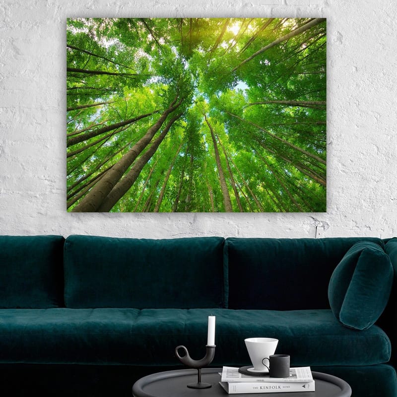 Canvas taulu 70x100 cm - Näkymä korkeista puista maasta katsottuna kohti kirkasta taivasta - Vihreä / Ruskea - Sisustustuotteet - Taulu & taide - Canvas-taulu