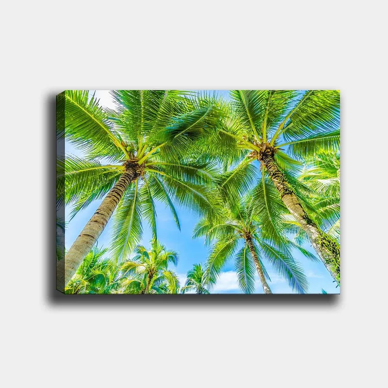 Canvas taulu 70x100 cm - Näkymä korkeista palmuista kurottelemassa kohti kirkasta sinistä taivasta, Vihreä / Sininen