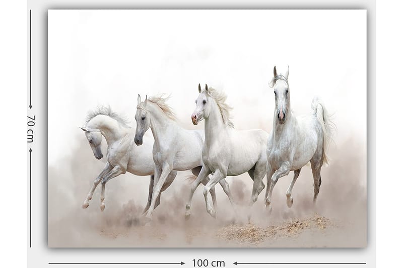 Canvas taulu 70x100 cm - Neljä valkoista hevosta laukkaa eteenpäin sumuisessa ympäristössä - Valkoinen / Vaaleanharmaa - Sisustustuotteet - Taulu & taide - Canvas-taulu