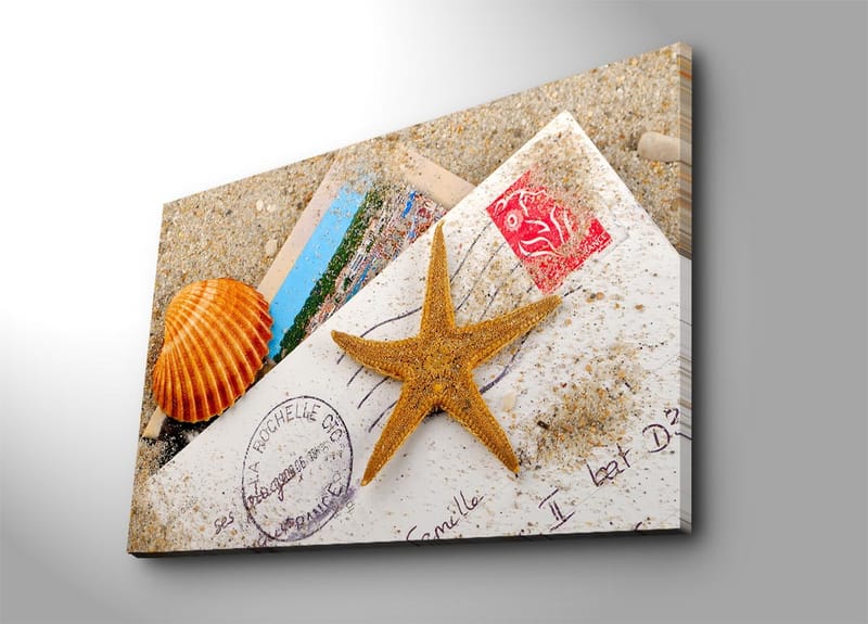 Canvas taulu 70x100 cm - Rantateemainen sommitelma, jossa on meritähtiä ja simpukoita postikortissa, Oranssi / Beige / Valkoinen