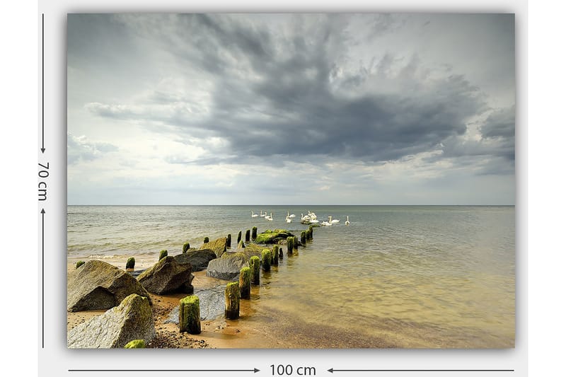 Canvas taulu 70x100 cm - Rauhallinen järvimaisema, jossa joutsenet uivat laiturilla kivien ympäröimänä - Harmaa / Vihreä / Sininen - Sisustustuotteet - Taulu & taide - Canvas-taulu