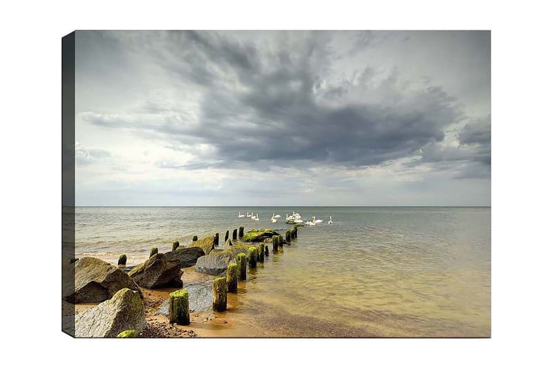 Canvas taulu 70x100 cm - Rauhallinen järvimaisema, jossa joutsenet uivat laiturilla kivien ympäröimänä, Harmaa / Vihreä / Sininen