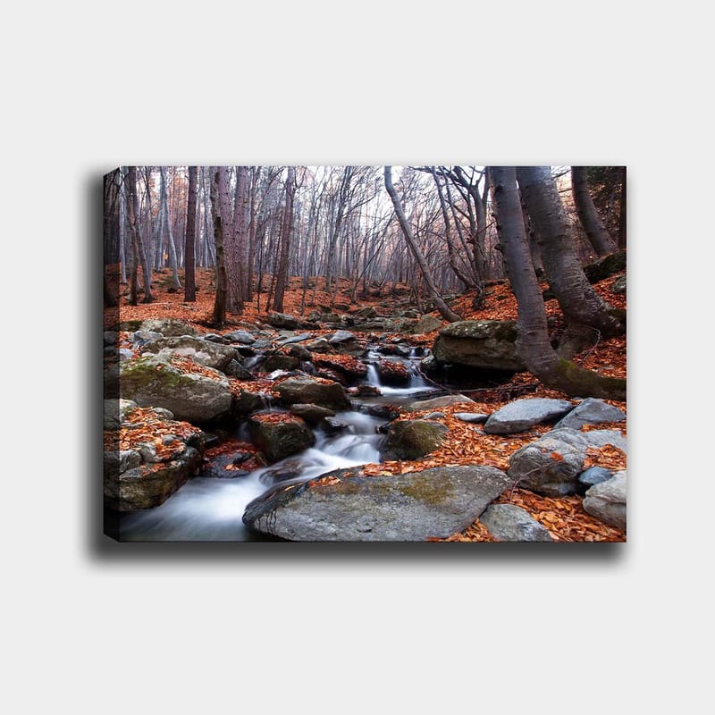 Canvas taulu 70x100 cm - Rauhallinen metsämaisema syksyn väristen lehtien ja kivien ympäröimänä ja solinaavan puron ympäröimänä, Harmaa / Oranssi / Ruskea