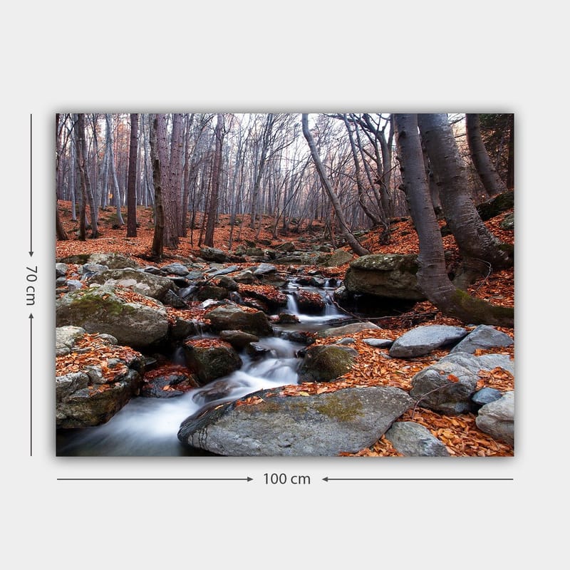 Canvas taulu 70x100 cm - Rauhallinen metsämaisema syksyn väristen lehtien ja kivien ympäröimänä ja solinaavan puron ympäröimänä - Harmaa / Oranssi / Ruskea - Sisustustuotteet - Taulu & taide - Canvas-taulu