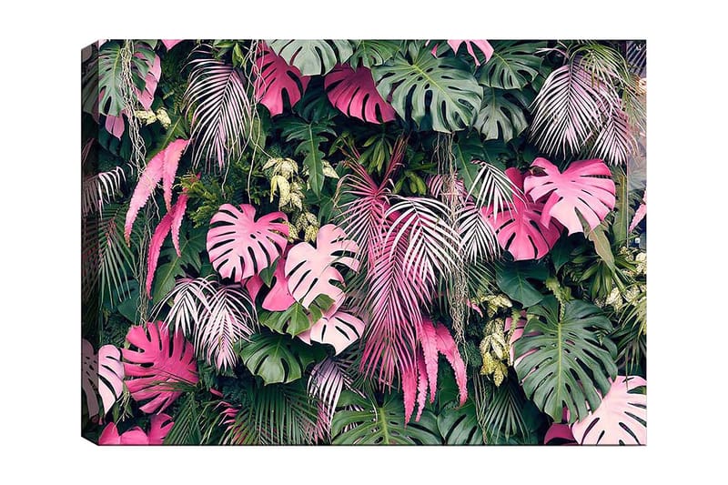 Canvas taulu 70x100 cm - Rehevä kokoelma trooppisia kasveja suurilla, värikkäillä lehdillä, Vihreä / Vaaleanpunainen