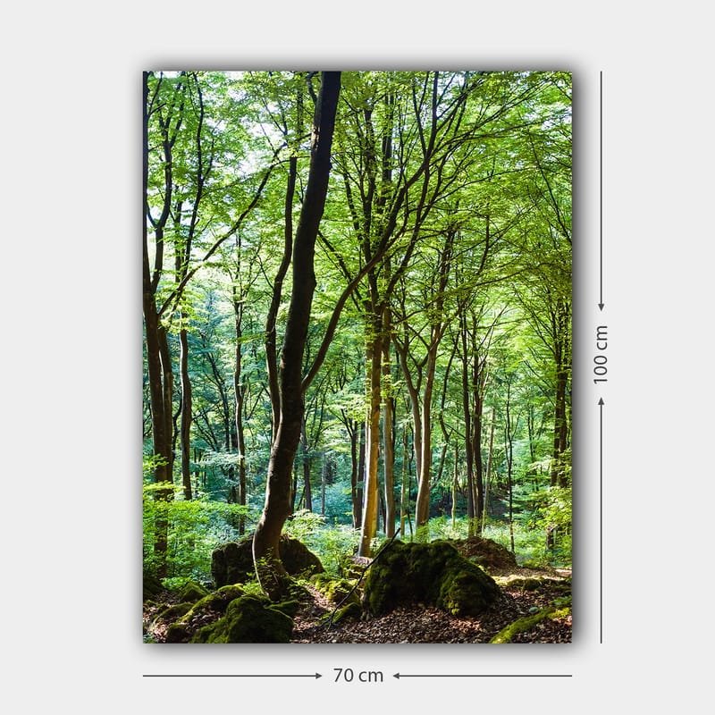 Canvas taulu 70x100 cm - Rehevä metsä korkeine puineen ja rehevän kasvillisuuksineen - Vihreä / Ruskea - Sisustustuotteet - Taulu & taide - Canvas-taulu