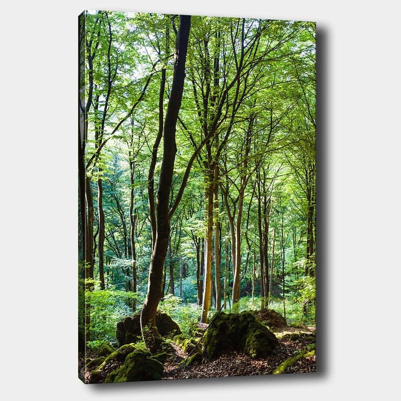 Canvas taulu 70x100 cm - Rehevä metsä korkeine puineen ja rehevän kasvillisuuksineen, Vihreä / Ruskea