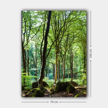 Canvas taulu 70x100 cm - Rehevä metsä korkeine puineen ja rehevän kasvillisuuksineen - Vihreä / Ruskea - Sisustustuotteet - Taulu & taide - Canvas-taulu