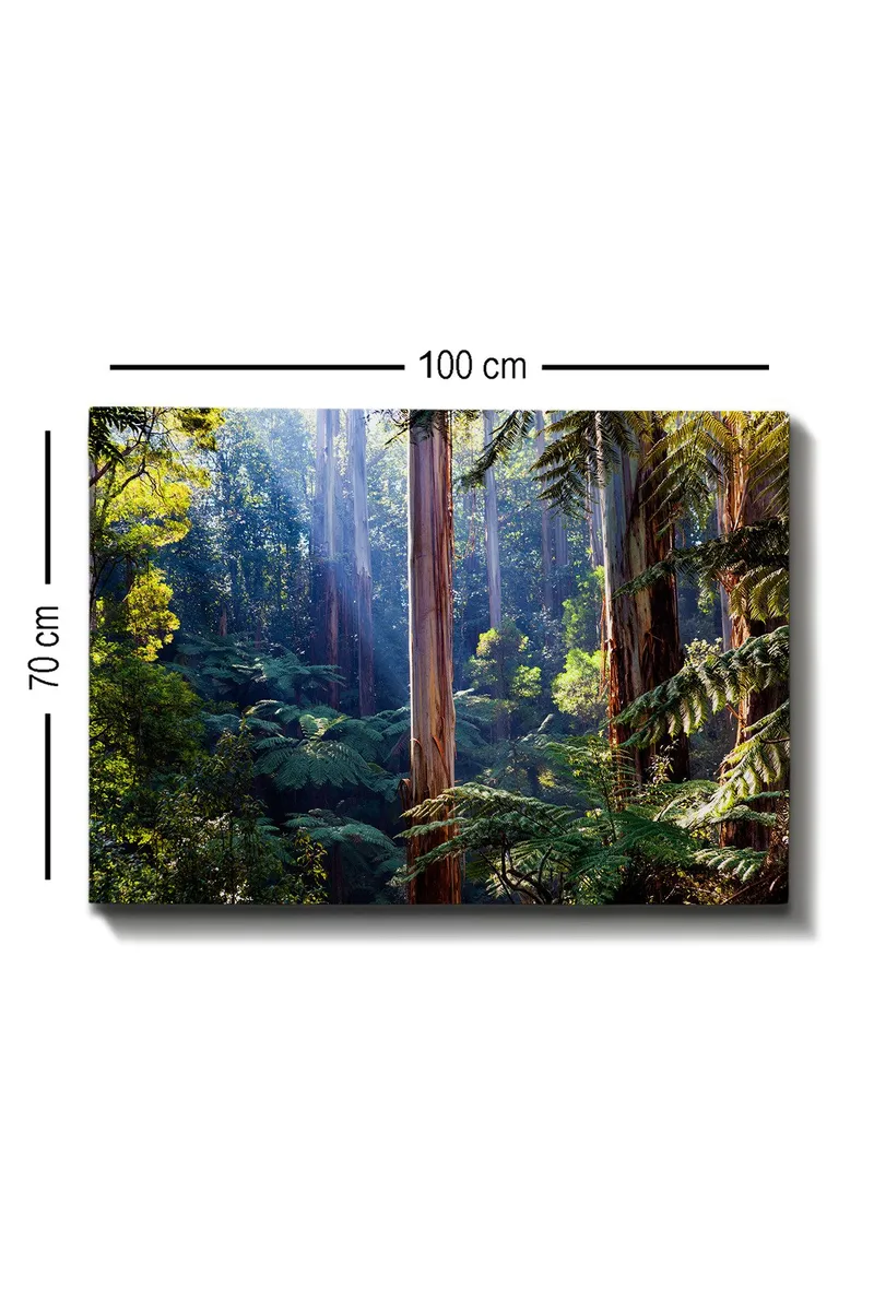 Canvas taulu 70x100 cm - Rehevä metsä korkeine puineen ja vihreine kasveineen, jotka luovat rauhallisen ja luonnollisen tunnelman - Vihreä / Ruskea / Vaaleansininen - Sisustustuotteet - Taulu & taide - Canvas-taulu