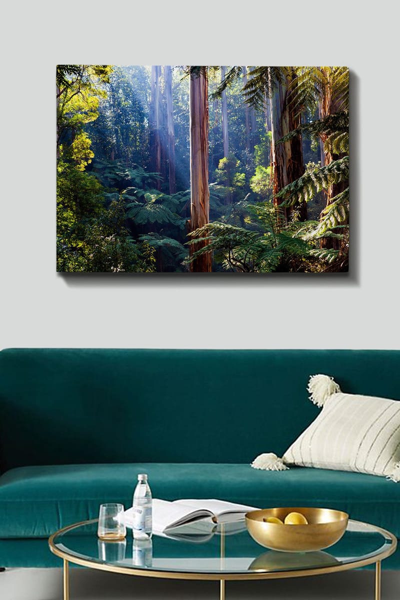 Canvas taulu 70x100 cm - Rehevä metsä korkeine puineen ja vihreine kasveineen, jotka luovat rauhallisen ja luonnollisen tunnelman - Vihreä / Ruskea / Vaaleansininen - Sisustustuotteet - Taulu & taide - Canvas-taulu