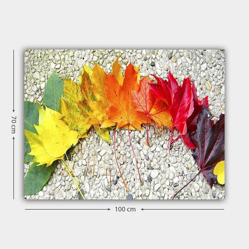 Canvas taulu 70x100 cm - Rivi värikkäitä syksyn lehtiä eri sävyissä kuvaamassa luonnon kauneutta - Punainen / Oranssi / Keltainen - Sisustustuotteet - Taulu & taide - Canvas-taulu