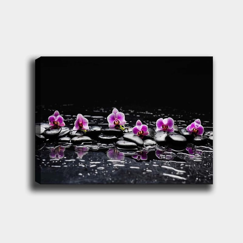 Canvas taulu 70x100 cm - Rivi violetteja orkideoita mustilla kivillä heijastuen vedessä, Violetti / Musta