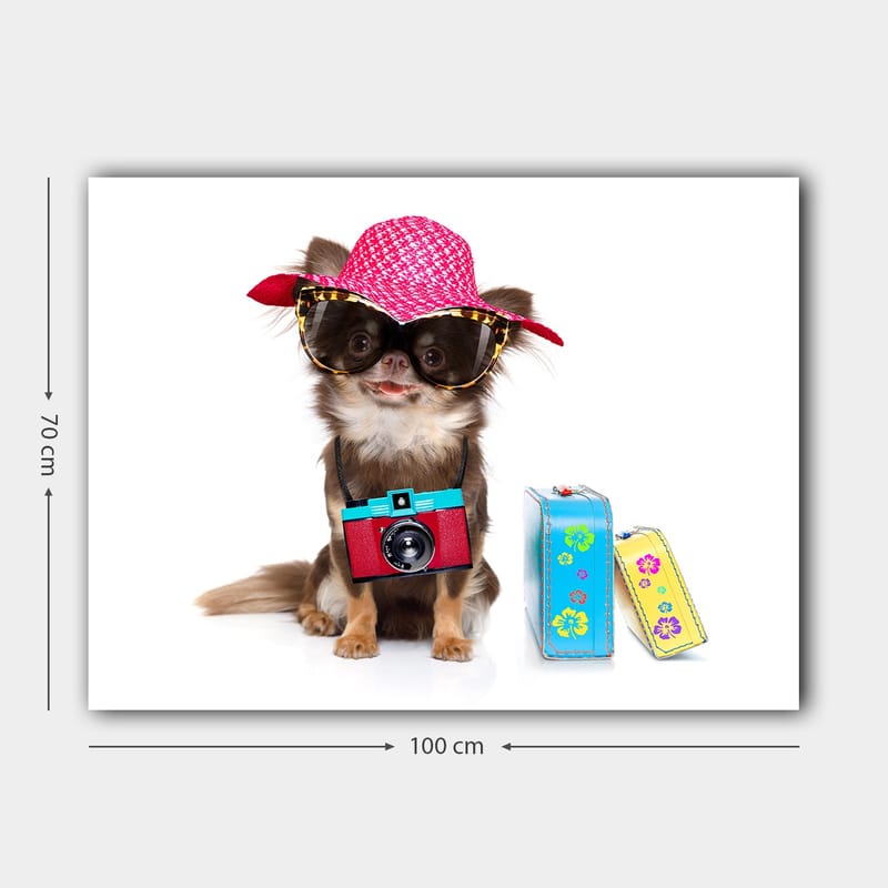 Canvas taulu 70x100 cm - Söpö chihuahua aurinkohatussa ja aurinkolaseissa, kamera kaulassaan - Vaaleanpunainen / Sininen / Punainen - Sisustustuotteet - Taulu & taide - Canvas-taulu