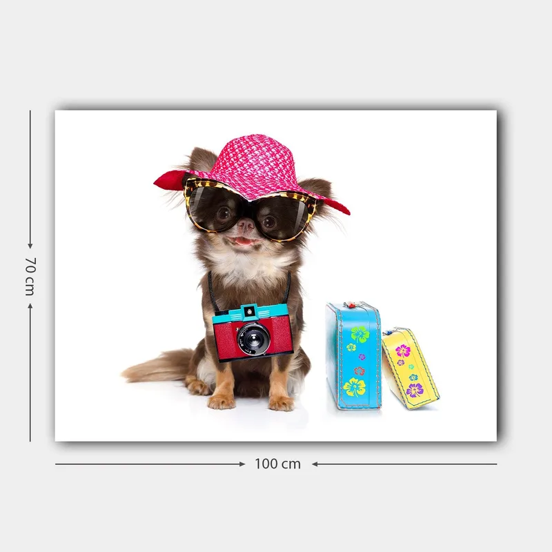 Canvas taulu 70x100 cm - Söpö chihuahua aurinkohatussa ja aurinkolaseissa, kamera kaulassaan - Vaaleanpunainen / Sininen / Punainen - Sisustustuotteet - Taulu & taide - Canvas-taulu