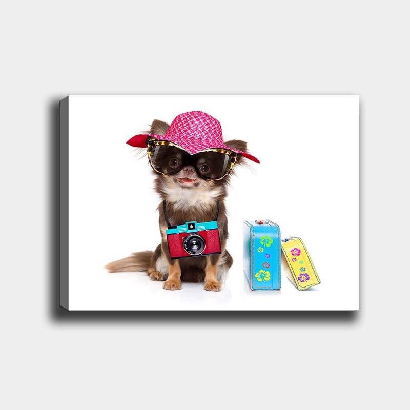 Canvas taulu 70x100 cm - Söpö chihuahua aurinkohatussa ja aurinkolaseissa, kamera kaulassaan, Vaaleanpunainen / Sininen / Punainen