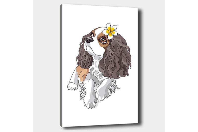Canvas taulu 70x100 cm - Söpö kiharatukkainen koira, jolla on kukka korvassaan - Ruskea / Valkoinen / Musta - Sisustustuotteet - Taulu & taide - Canvas-taulu