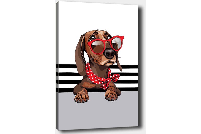 Canvas taulu 70x100 cm - Söpö koira aurinkolaseissa ja punaisessa pilkullisessa huivissa - Ruskea / Punainen / Harmaa - Sisustustuotteet - Taulu & taide - Canvas-taulu