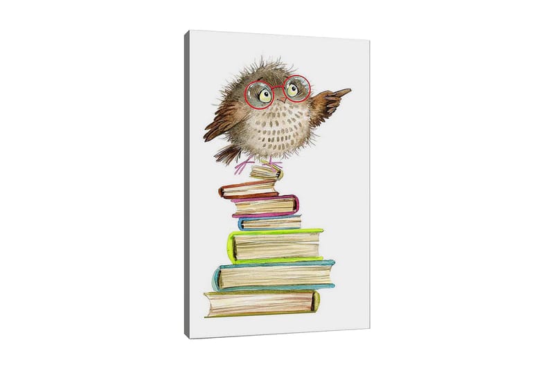 Canvas taulu 70x100 cm - Söpö pöllö lasit suutelemassa istumassa värikkäiden kirjojen pinolla, Ruskea / Vihreä / Sininen