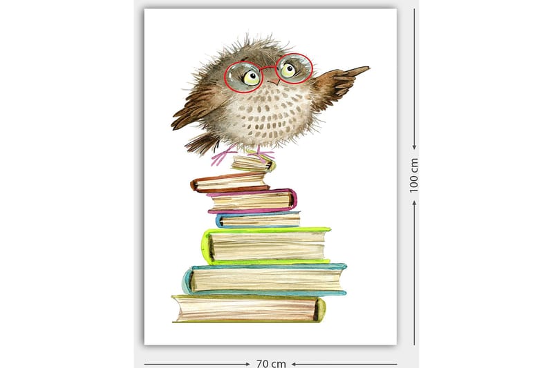 Canvas taulu 70x100 cm - Söpö pöllö lasit suutelemassa istumassa värikkäiden kirjojen pinolla - Ruskea / Vihreä / Sininen - Sisustustuotteet - Taulu & taide - Canvas-taulu