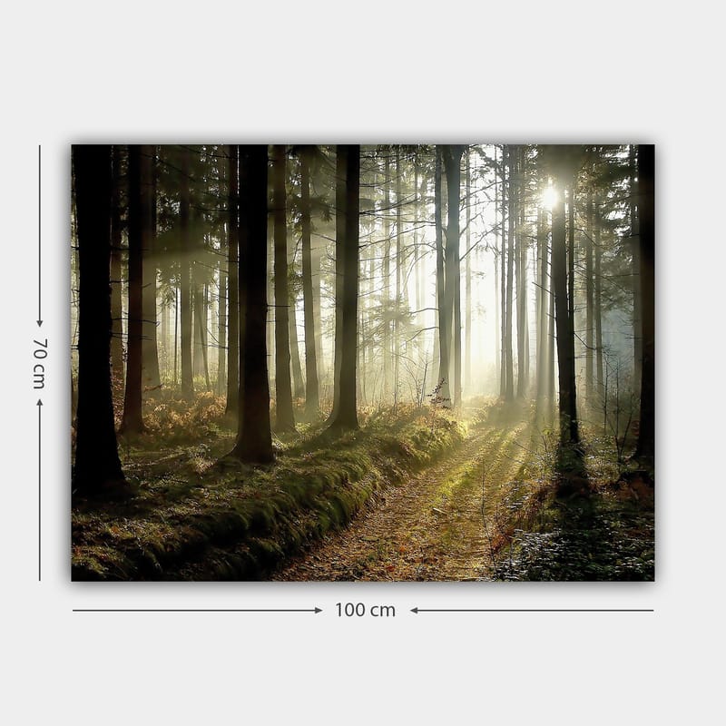 Canvas taulu 70x100 cm - Salaperäinen metsä auringonsäteiden murtautuessa puiden välistä - Tummanvihreä / Vaaleanvihreä / Ruskea - Sisustustuotteet - Taulu & taide - Canvas-taulu