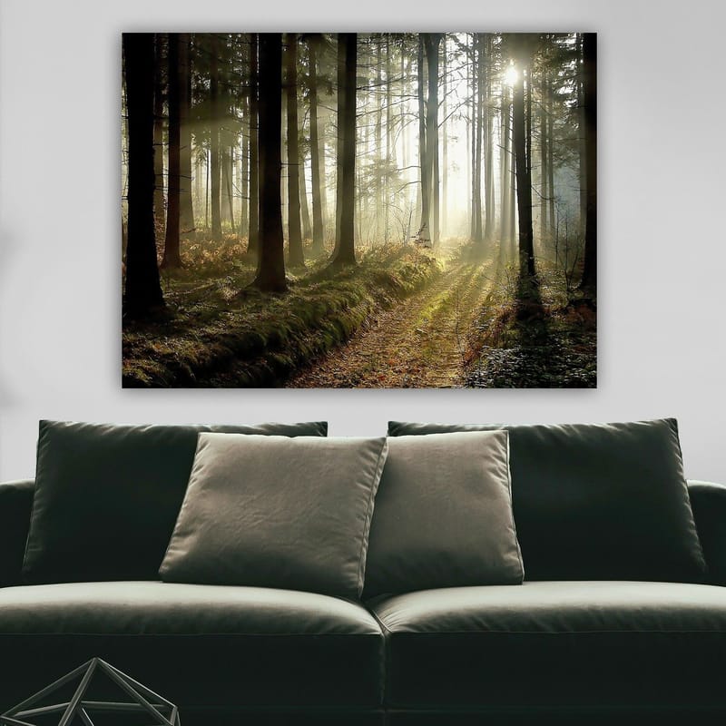 Canvas taulu 70x100 cm - Salaperäinen metsä auringonsäteiden murtautuessa puiden välistä - Tummanvihreä / Vaaleanvihreä / Ruskea - Sisustustuotteet - Taulu & taide - Canvas-taulu