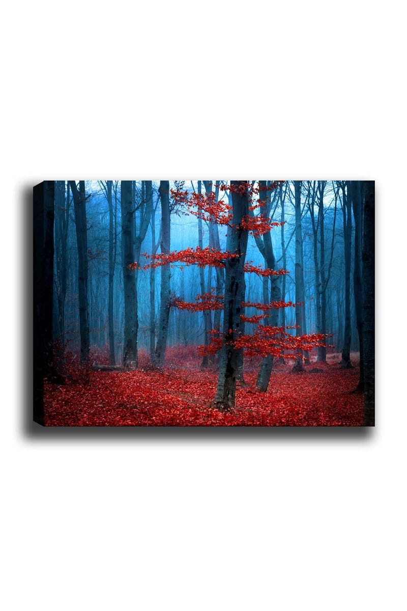 Canvas taulu 70x100 cm - Salaperäinen metsä ja yksinäinen punainen puu sumuisessa ympäristössä, Punainen / Sininen