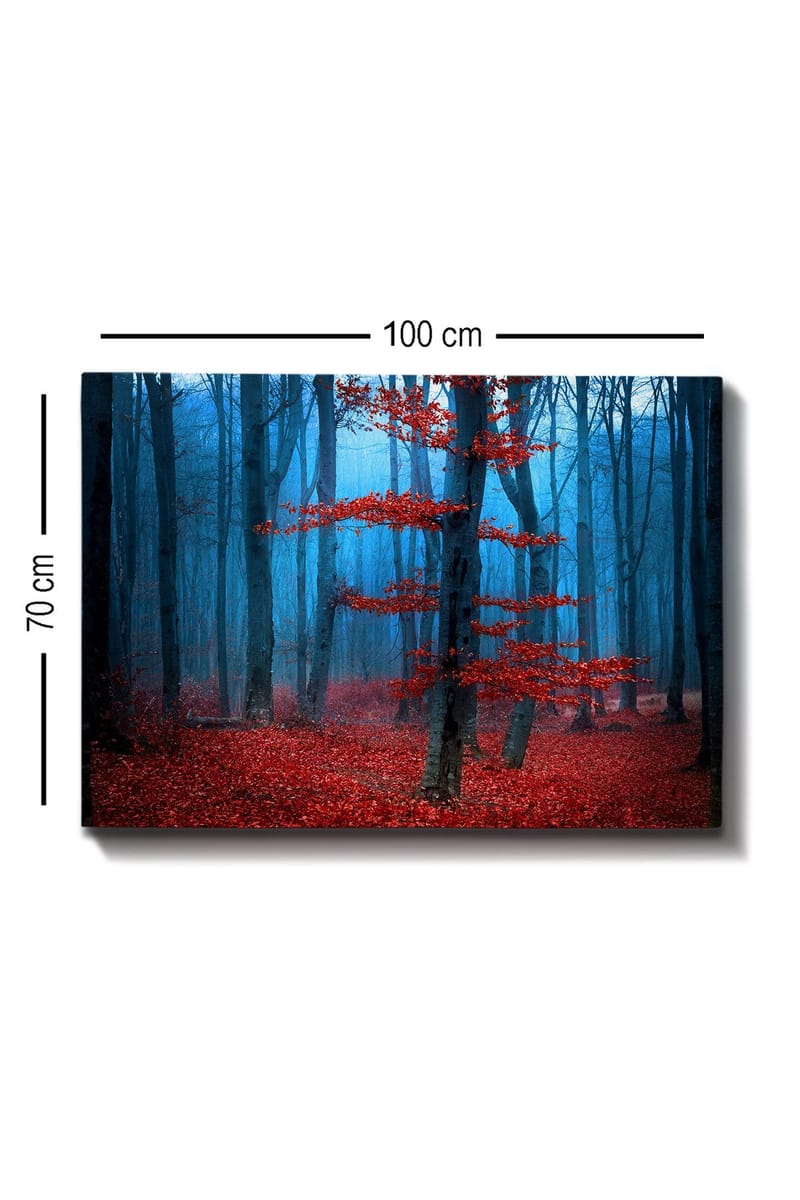 Canvas taulu 70x100 cm - Salaperäinen metsä ja yksinäinen punainen puu sumuisessa ympäristössä - Punainen / Sininen - Sisustustuotteet - Taulu & taide - Canvas-taulu